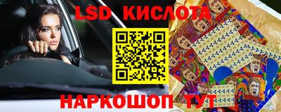PSILOCYBIN Северобайкальск