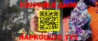 PSILOCYBIN Северобайкальск