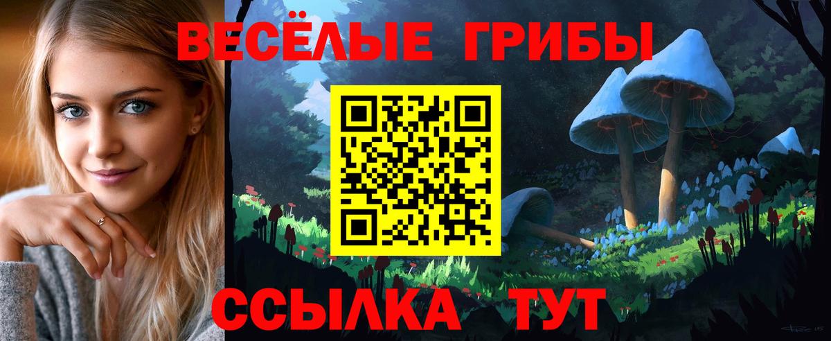 как найти наркотики  Вход с VPN  Астрахань  Псилоцибиновые грибы Psilocybine cubensis 